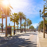 Sunny Afternoon