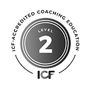 CE_Level2_Color_edited.png