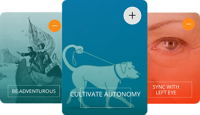 Habits System