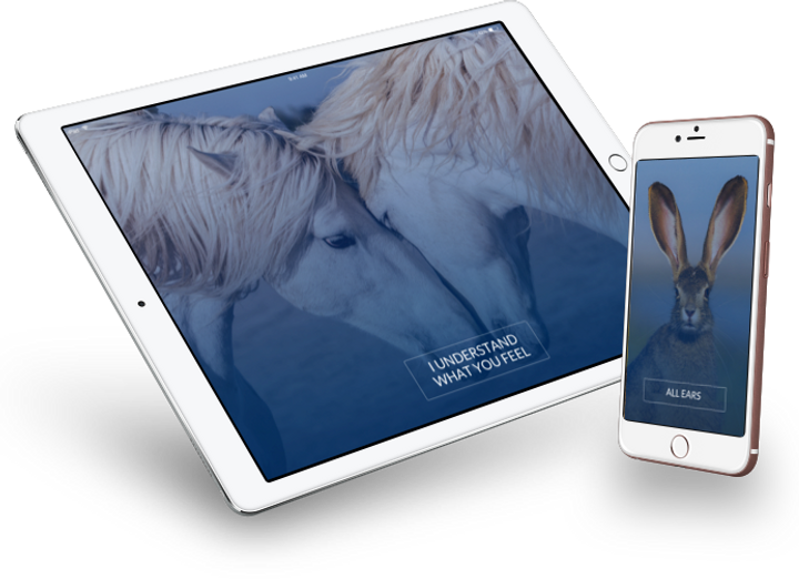 Ipad and Iphone 